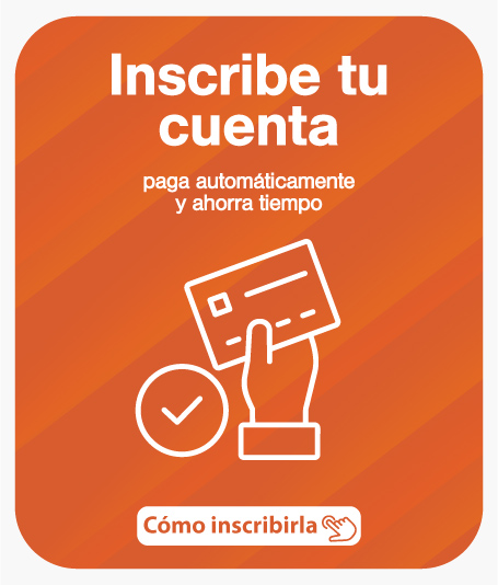 BANNER-DEBITO-AUTO-v2