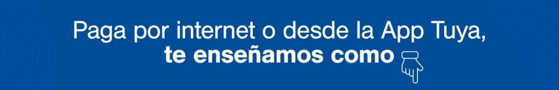 Banner Principal Online DP